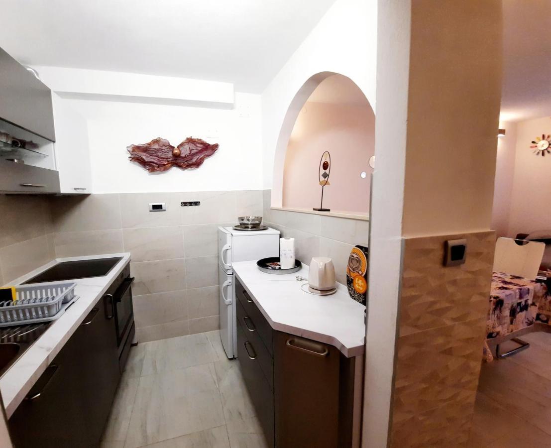 Split Symphony Garden: Modern, New Apartment エクステリア 写真