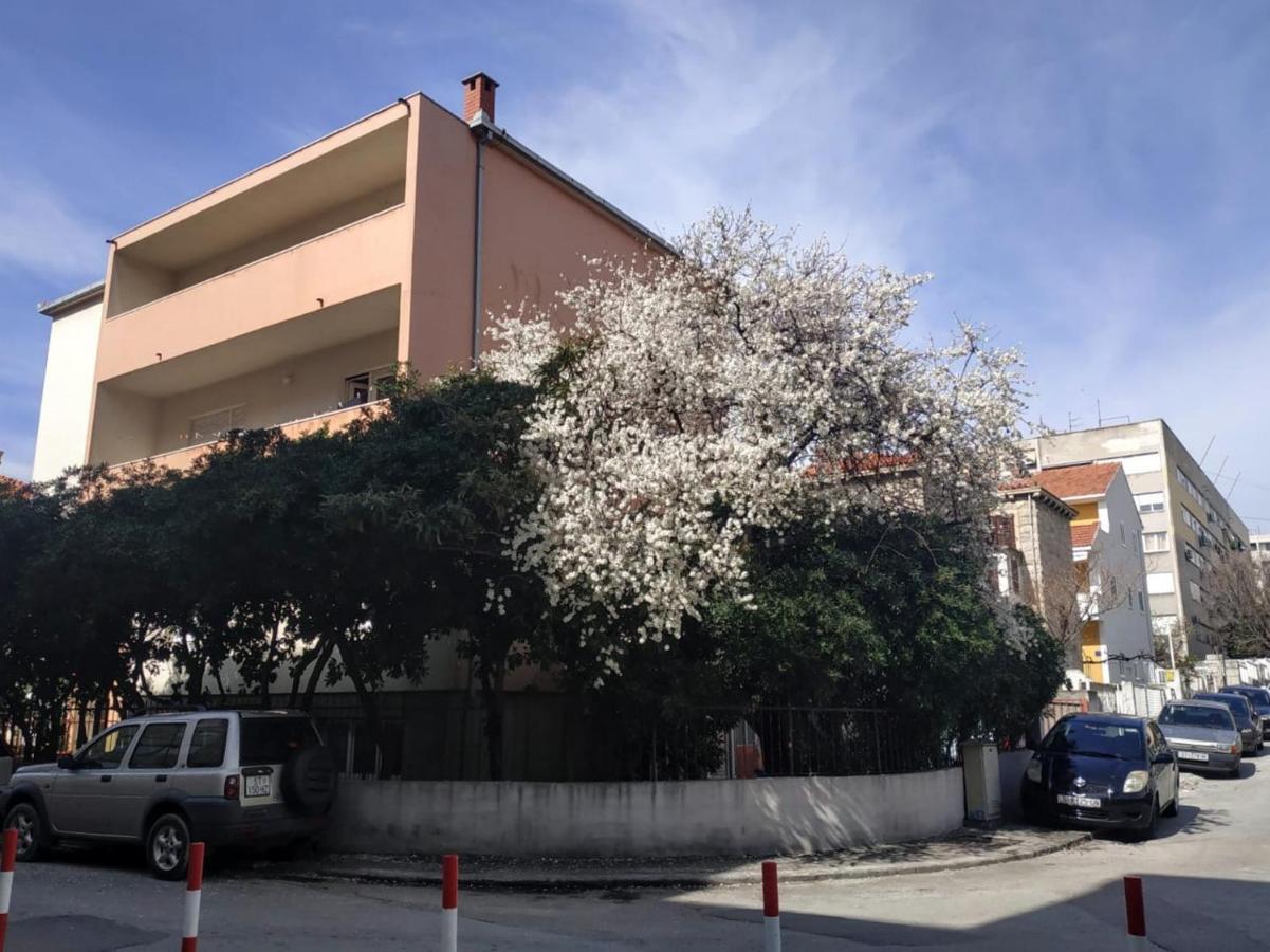 Split Symphony Garden: Modern, New Apartment エクステリア 写真