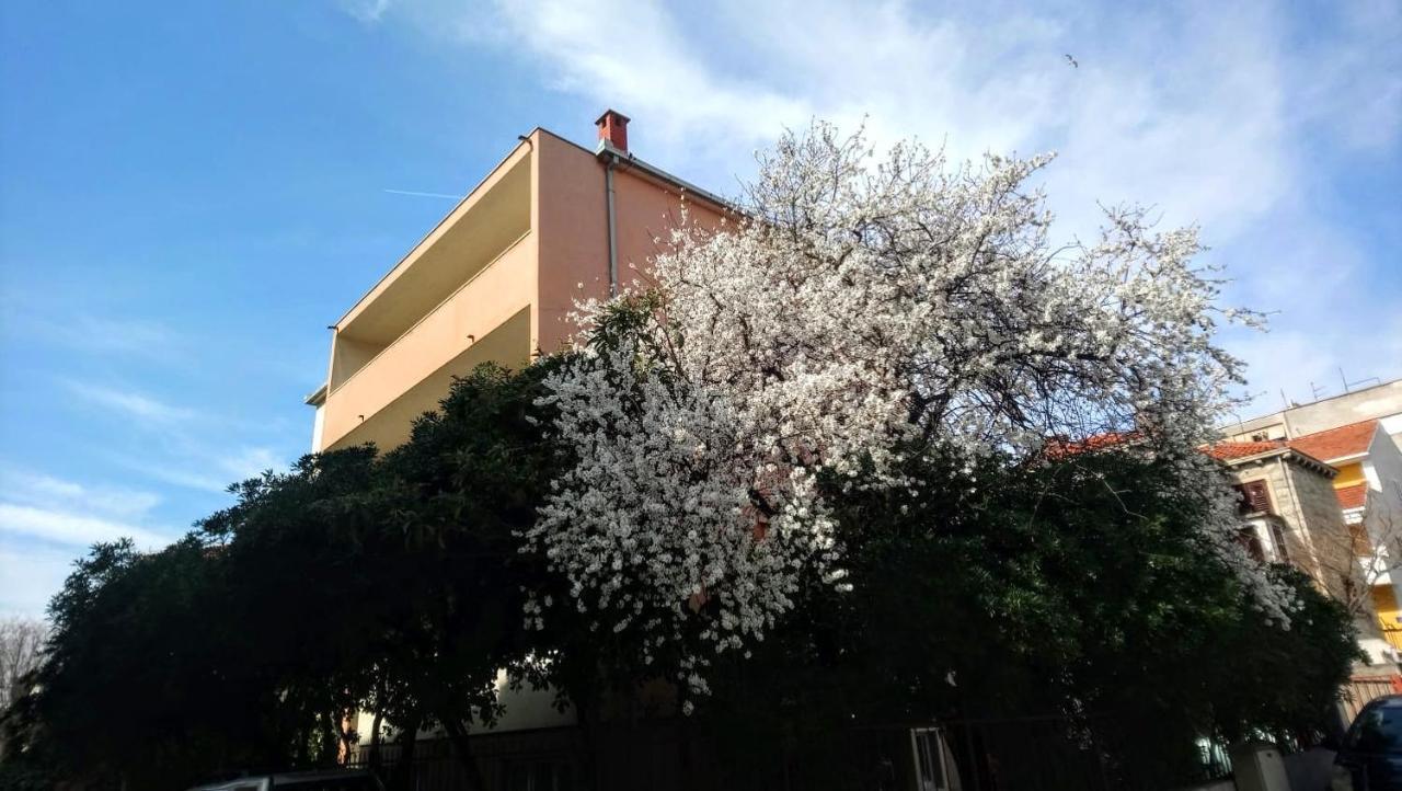 Split Symphony Garden: Modern, New Apartment エクステリア 写真